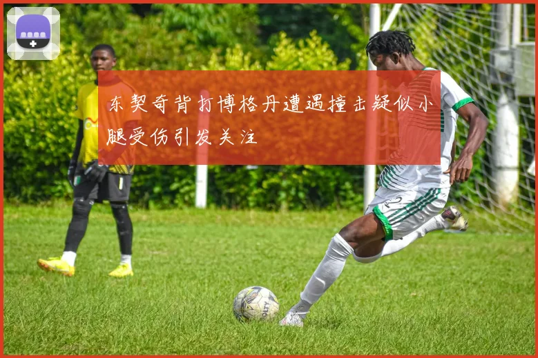 东契奇背打博格丹遭遇撞击疑似小腿受伤引发关注