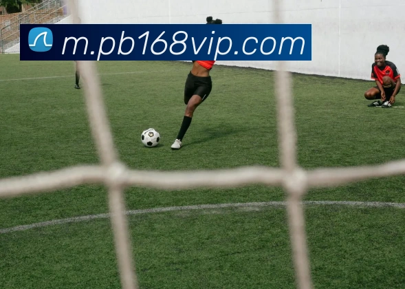 平博娱乐APP 封面图